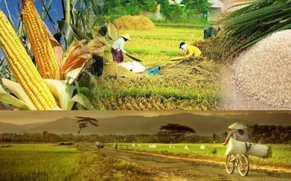 Header